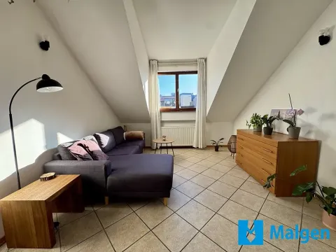 Pronájem bytu 2+kk, Praha - Bubeneč, U akademie, 45 m2