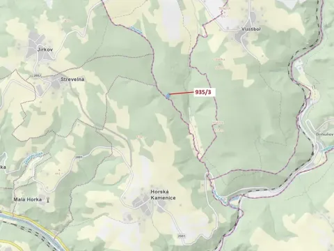 Dražba lesa, Jílové u Držkova, 2349 m2