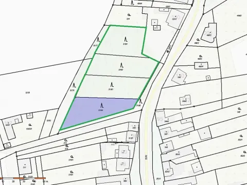 Prodej lesa, Cvrčovice, 4746 m2