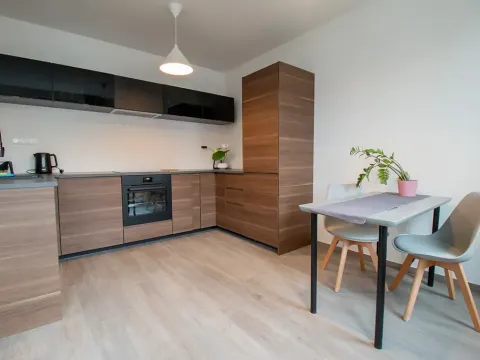 Pronájem bytu 2+kk, Praha - Vinohrady, Perucká, 45 m2