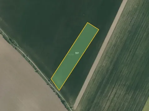 Prodej pole, Bezděkov, 9812 m2