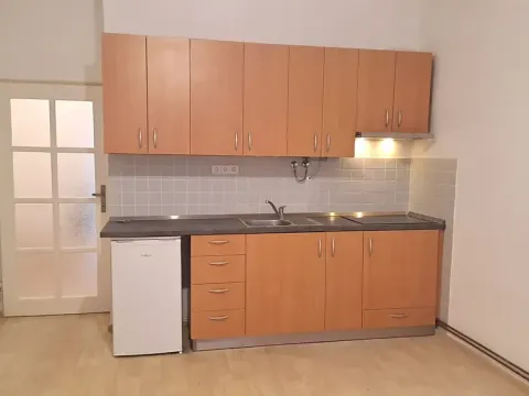 Pronájem bytu 1+kk, Praha - Braník, Pod vinohradem, 27 m2