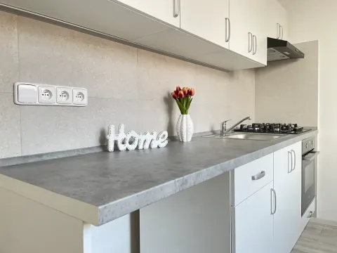 Pronájem bytu 2+1, Litvínov, Ruská, 52 m2