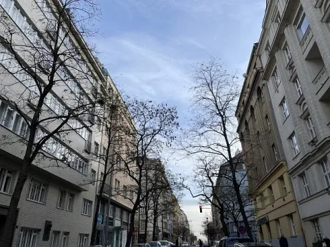 Prodej bytu 2+1, Praha, Vinohradská, 73 m2