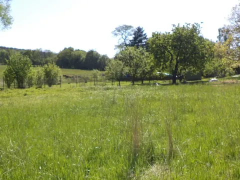 Prodej pozemku, Staré Křečany, 2931 m2