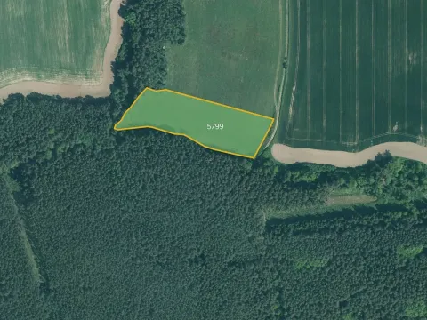 Prodej louky, Slabčice, 9492 m2