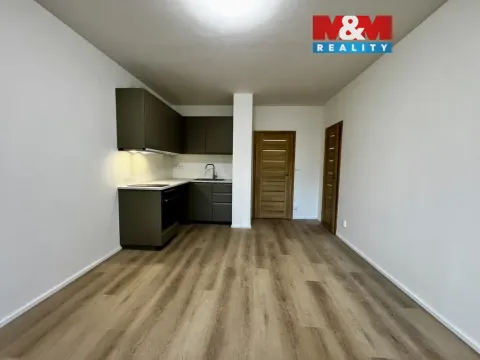 Pronájem bytu 1+kk, Praha - Modřany, Platónova, 30 m2