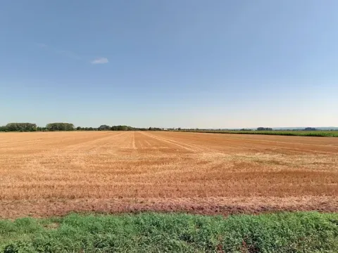 Prodej pole, Oplocany, 4033 m2