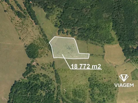 Prodej podílu zahrady, Žitenice, 8343 m2