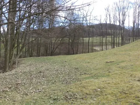 Dražba louky, Heřmanov, 4633 m2