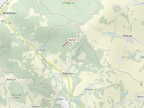 Dražba lesa, Zubrnice, 815 m2