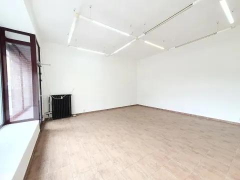 Pronájem obchodního prostoru, Praha, 5. května, 31 m2