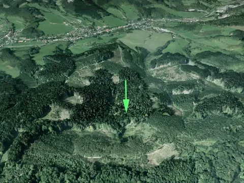 Prodej lesa, Lhota u Vsetína, 16652 m2