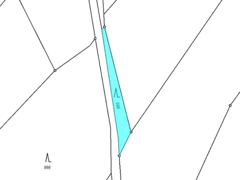 Dražba lesa, Luže, 227 m2