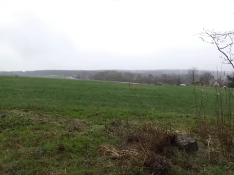 Dražba pole, Mladý Smolivec, 15075 m2