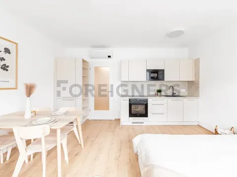 Pronájem bytu 1+kk, Brno, Spolková, 27 m2