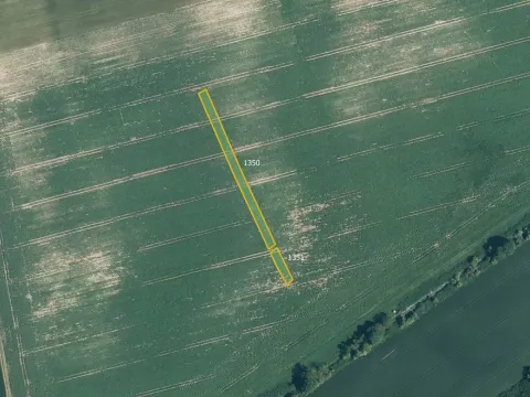 Prodej pole, Ždánice, 3633 m2