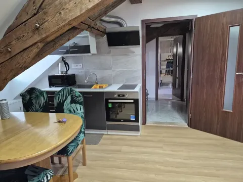 Pronájem bytu 2+kk, Ostrov, Hroznětínská, 58 m2