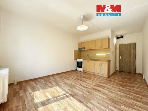 Pronájem bytu 1+kk, Karlovy Vary - Drahovice, Východní, 20 m2