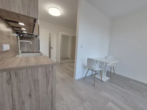 Pronájem bytu 1+kk, Brno, třída Generála Píky, 35 m2