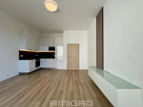 Pronájem bytu 1+kk, Brno, Gajdošova, 33 m2