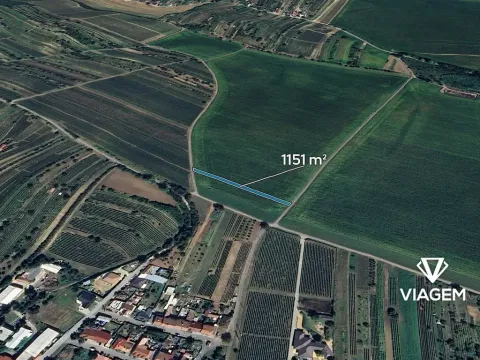 Prodej pole, Mutěnice, 1151 m2