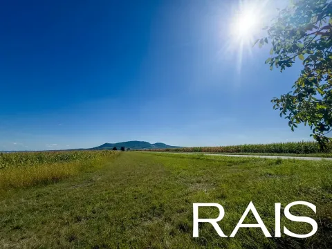 Prodej pozemku, Pouzdřany, 72600 m2