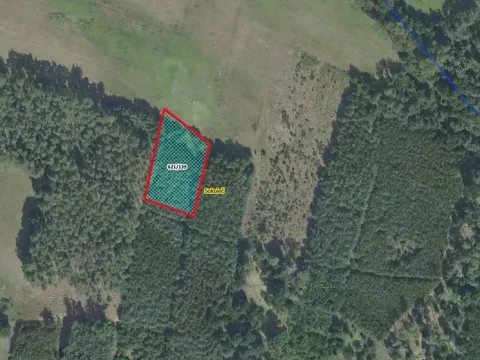 Prodej lesa, Sokoleč, 1948 m2