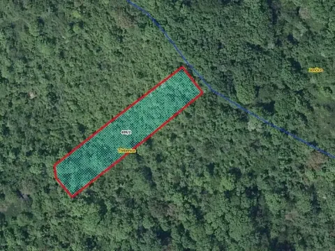 Prodej lesa, Třebenice, 1475 m2