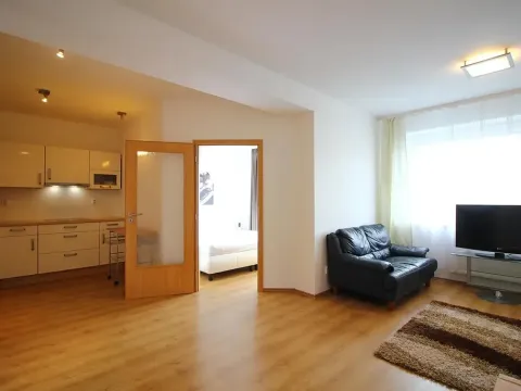 Pronájem bytu 2+kk, Brno, Purkyňova, 60 m2