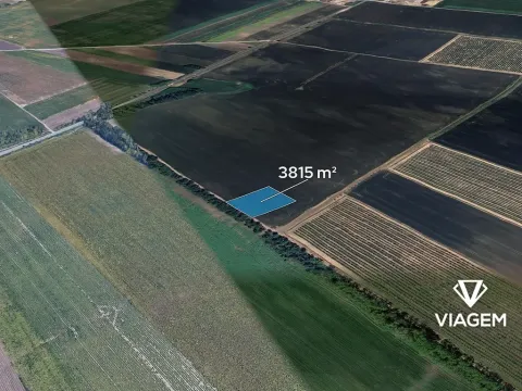 Prodej pole, Podivín, 3815 m2