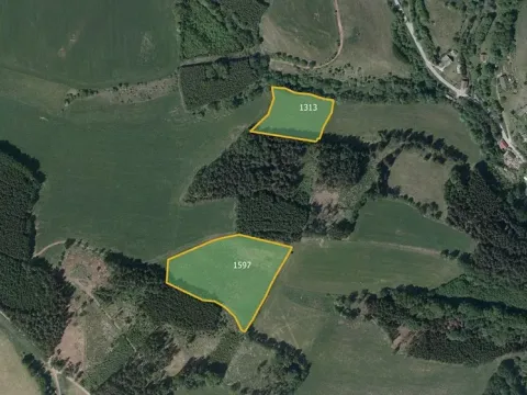 Prodej louky, Vidochov, 28075 m2