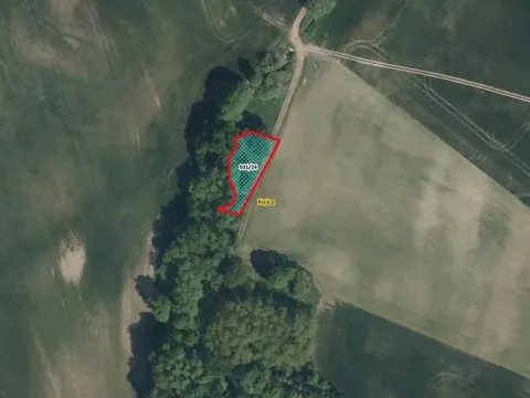 Prodej louky, Kojice, 737 m2