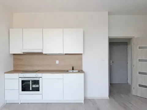 Pronájem bytu 2+kk, Milovice, Slepá, 32 m2