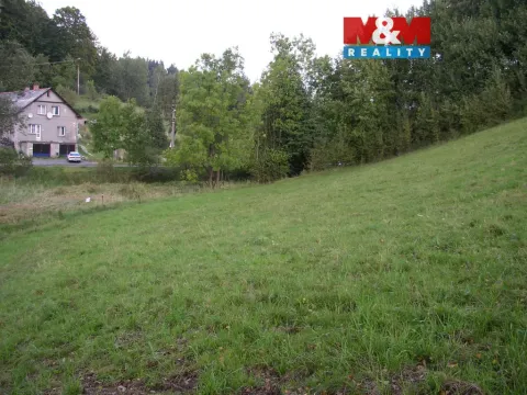 Prodej louky, Janův Důl, 2749 m2