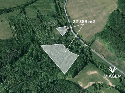 Prodej lesa, Doubravy, 20718 m2