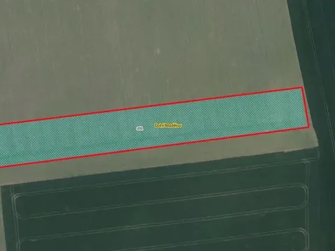 Prodej pole, Dolní Bezděkov, 7705 m2