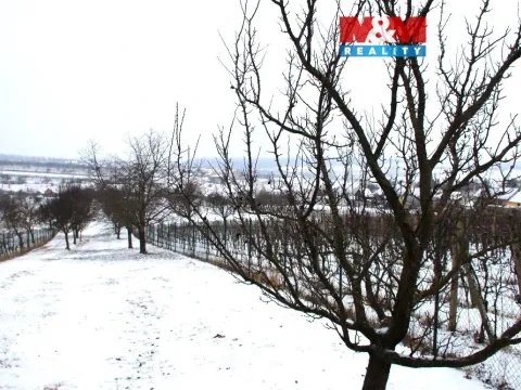 Prodej pole, Starý Poddvorov, 4096 m2