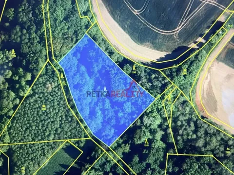 Prodej lesa, Polom, 4700 m2