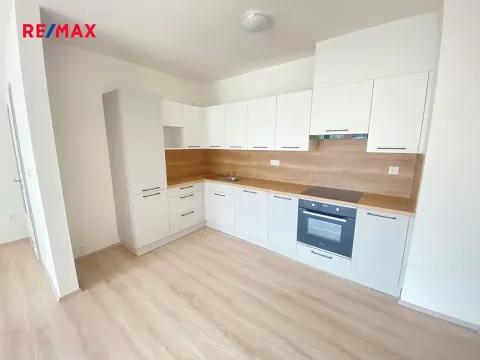 Pronájem bytu 3+kk, Plzeň, U Borských kasáren, 90 m2