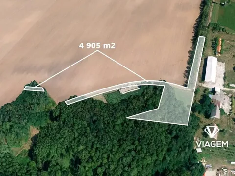 Prodej podílu pole, Čejkovice, 1226 m2