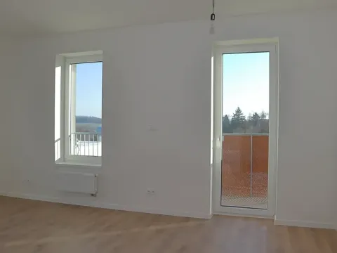 Pronájem bytu 1+kk, Benešov, 102. pluku, 30 m2