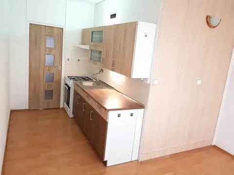 Pronájem bytu 1+1, České Budějovice, Plzeňská, 47 m2