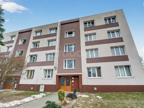 Prodej bytu 2+1, Líně, Vodárenská, 57 m2