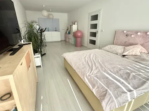 Pronájem bytu 2+kk, Jihlava, Vrchlického, 61 m2