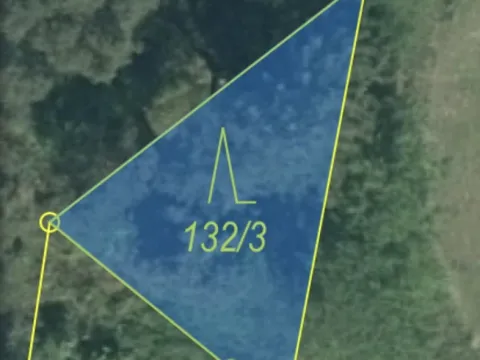 Prodej lesa, Čepřovice, 193 m2