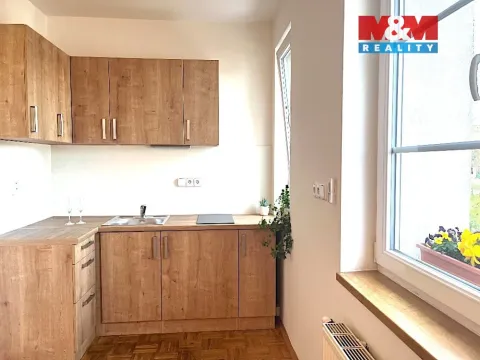Pronájem bytu 1+kk, Praha - Hloubětín, Milovická, 20 m2