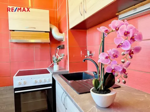 Prodej bytu 1+kk, Pardubice, Valčíkova, 29 m2