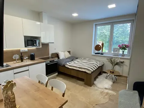 Pronájem bytu 1+kk, Zlín, Štefánikova, 32 m2