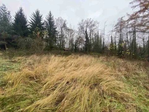 Prodej zahrady, Potěhy, 1589 m2